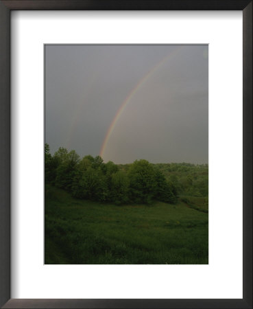 Double Rainbow Over Green Spring Trees by Brian Gordon Green Pricing Limited Edition Print image