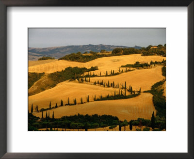 Golfen Tuscan Landscape Near La Foce, Tuscany, Italy by Diana Mayfield Pricing Limited Edition Print image