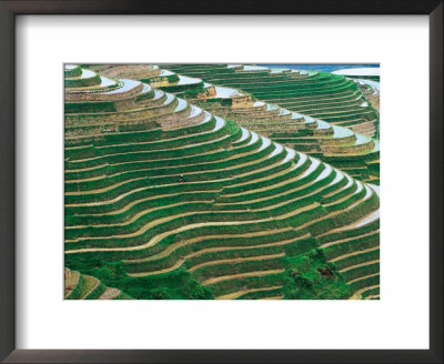Water Field Rice Terraces In The Mountains, Long Ji, China by Keren Su Pricing Limited Edition Print image