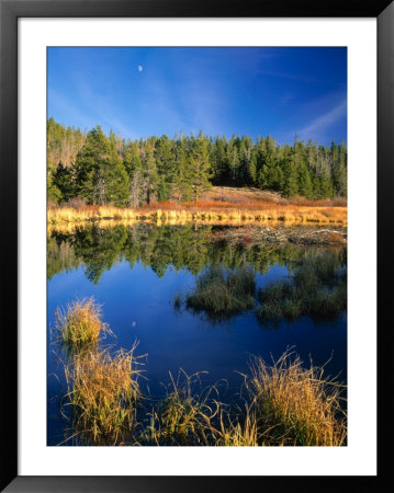 Moon Above Beaver Pond, Uinta Mountains, Wasatch National Forest, Utah, Usa by Scott T. Smith Pricing Limited Edition Print image