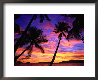 Palm Trees At Sunset, Marovo Lagoon, Solomon Islands by Peter Hendrie Pricing Limited Edition Print image
