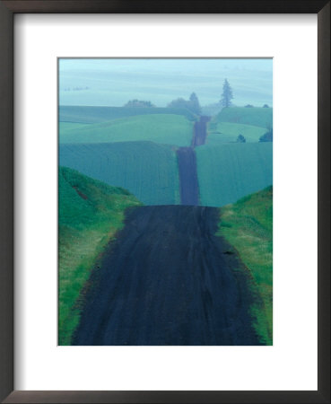 Gravel Road Winds Thru The Fields Of The Palouse Region, Washington, Usa by Chuck Haney Pricing Limited Edition Print image