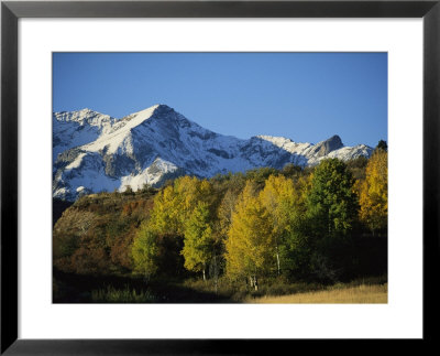 Autumnal View Of Aspen Trees And The Rocky Mountains by Michael S. Lewis Pricing Limited Edition Print image