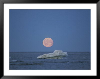 A Lone Iceberg And A Beautiful Moon Rise by Norbert Rosing Pricing Limited Edition Print image