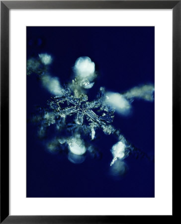 Close-Up Of A Snowflake by Robert Sisson Pricing Limited Edition Print image
