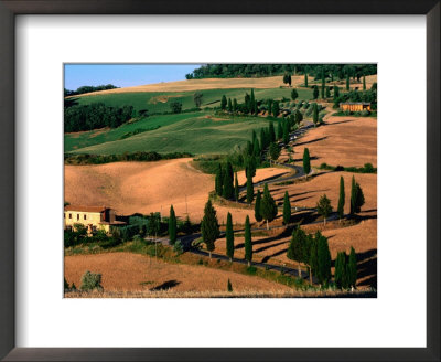 Cypress-Lined Montichiello Road, So Of Pienza, Val D'orcia, Tuscany, Italy by John Elk Iii Pricing Limited Edition Print image