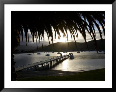 Waikawa Bay, Near Picton, Marlborough Sounds, South Island, New Zealand by David Wall Pricing Limited Edition Print image