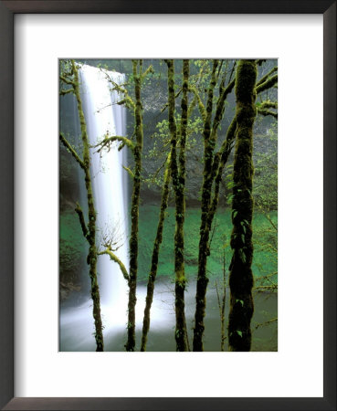 South Falls, Silver Falls State Park, Oregon, Usa by Jamie & Judy Wild Pricing Limited Edition Print image