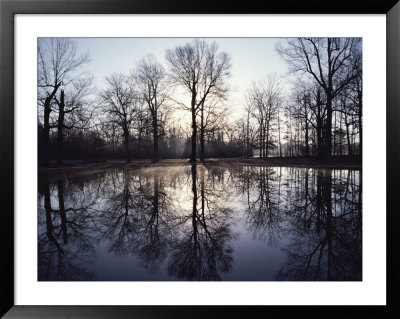 View Of Bloody Pond by Sam Abell Pricing Limited Edition Print image