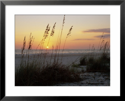 Sunset, Gulf Coast, Longboat Key, Anna Maria Island, Beach, Florida, Usa by Fraser Hall Pricing Limited Edition Print image
