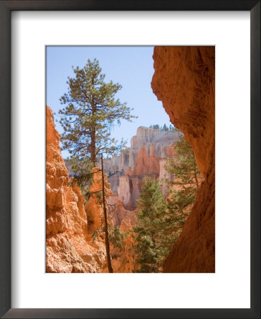 A View Of The Hoodoos And Erosion In Bryce Canyon by Taylor S. Kennedy Pricing Limited Edition Print image