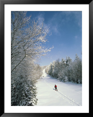 A Cross-Country Skier Blazes A Trail Through The Trees by Skip Brown Pricing Limited Edition Print image