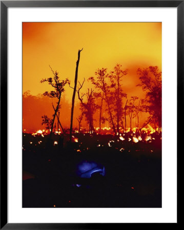 Lava Courses Through Campbell Estate, Which Is Adjacent To Hawaii Volcanoes National Park by William Allen Pricing Limited Edition Print image