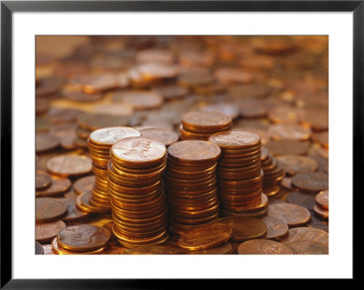 A Close View Of American Money by Joel Sartore Pricing Limited Edition Print image