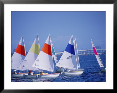 Boats Set Up For Race, Fl by Jeff Greenberg Pricing Limited Edition Print image