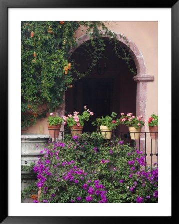 Bougainvillea And Geranium Pots On Wall In Courtyard, San Miguel De Allende, Mexico by Nancy Rotenberg Pricing Limited Edition Print image