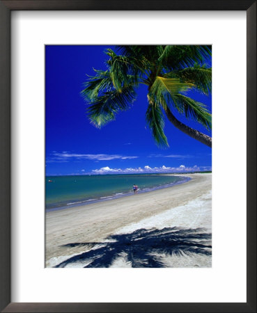 Palm Tree On Beach, Fiji by David Wall Pricing Limited Edition Print image
