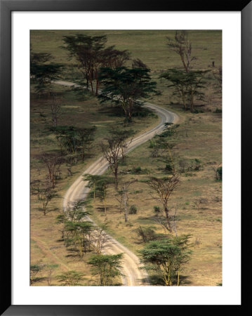 Road From Baboon Cliff, Lake Nakuru National Park, Kenya by Anders Blomqvist Pricing Limited Edition Print image