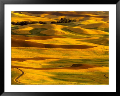 Harvest Time Fields, Palouse, Washington, Usa by Terry Eggers Pricing Limited Edition Print image