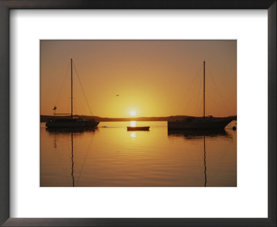 Sailboats Silhouetted At Sunset On Morro Bay by Rich Reid Pricing Limited Edition Print image
