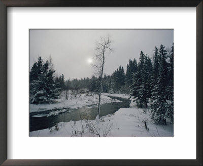 Winter View Of Itasca State Park by James L. Stanfield Pricing Limited Edition Print image