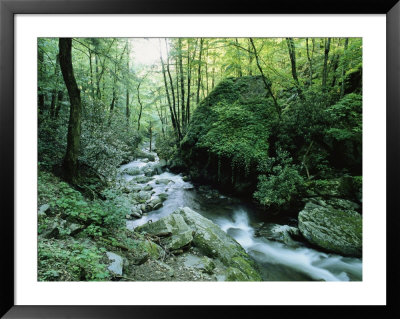 View Of Roaring Fork Creek by George F. Mobley Pricing Limited Edition Print image