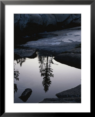 Reflection In A Pool In The Sierra Nevada Mountains by Marc Moritsch Pricing Limited Edition Print image