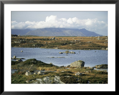 The Twelve Pins Mountains Rise Above Loughans On The Lowland, Connemara, County Galway, Eire by Tony Waltham Pricing Limited Edition Print image