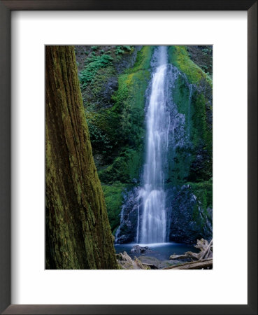 Scenic Of The Olympic Mountains, Washington, Usa by Jerry Ginsberg Pricing Limited Edition Print image