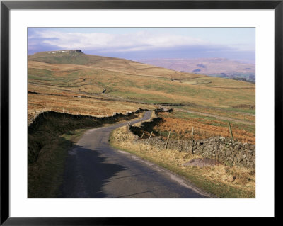 Wensleydale, Yorkshire Dales National Park, Yorkshire, England, United Kingdom by Mark Mawson Pricing Limited Edition Print image