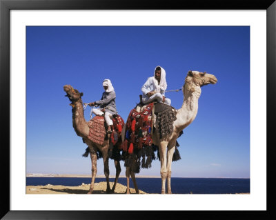 Bedouin And Camels, Sinai, Egypt, North Africa, Africa by Nico Tondini Pricing Limited Edition Print image