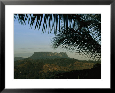 Palm Fronds Frame A Distant Flat-Topped Mountain In Cuba by Steve Winter Pricing Limited Edition Print image