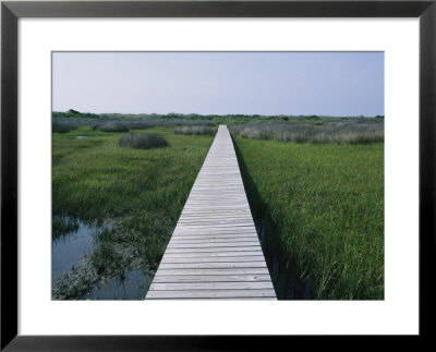 A Boardwalk Allows Visitors To Walk Out Into The Marsh by Stephen Alvarez Pricing Limited Edition Print image