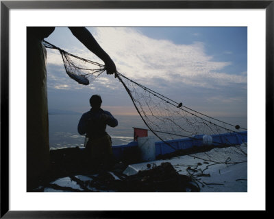 Fishermen Haul In A Net And Remove Fish From It by Jodi Cobb Pricing Limited Edition Print image