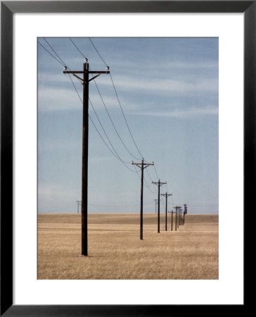 A Line Of Telephone Poles Traveling Over Golden Grassland by George Grall Pricing Limited Edition Print image