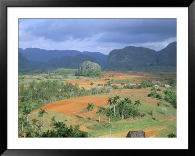 View Over Vinales Valley Towards Tobacco Plantations And Mogotes, Vinales, Cuba by Lee Frost Pricing Limited Edition Print image