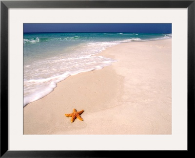Gulf Island National Seashore, Santa Rosa Island, Florida by Maresa Pryor Pricing Limited Edition Print image