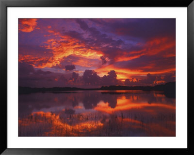 Dawn At Nine Mile Pond, Everglades National Park, Florida, Usa by Rob Tilley Pricing Limited Edition Print image
