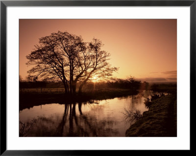 Sunrise Over The River Wey, Send, Surrey, England, United Kingdom by Roy Rainford Pricing Limited Edition Print image