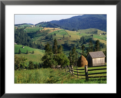 Rural Countryside, Sacele, Brasov, Romania, by Diana Mayfield Pricing Limited Edition Print image