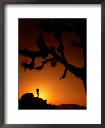 Hiker In Silhouette In The Joshua Tree National Park, California, Usa by Cheyenne Rouse Pricing Limited Edition Print image