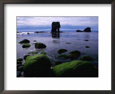 Aesha Stack And Seaweed-Covered Boulder At Low Tide, Papa Stour, Shetland Islands, Scotland by Grant Dixon Pricing Limited Edition Print image