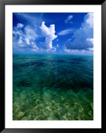 Lagoon Waters In Haapiti, Moorea, The French Polynesia by Paul Kennedy Pricing Limited Edition Print image