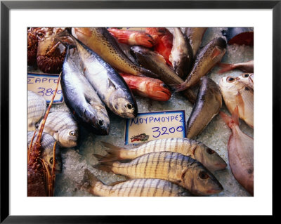 Market Fish, Rethymno, Crete, Greece by Diana Mayfield Pricing Limited Edition Print image