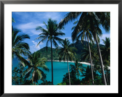 Palm Ringed Cove Of Bottle Beach, Thailand by Kraig Lieb Pricing Limited Edition Print image