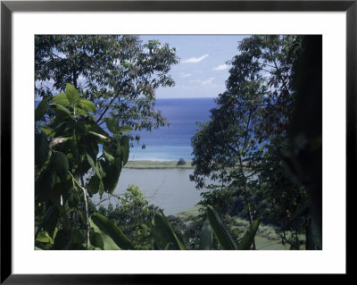 Jungle View Of Pacific Ocean, Carate, Costa Rica by Jeff Randall Pricing Limited Edition Print image