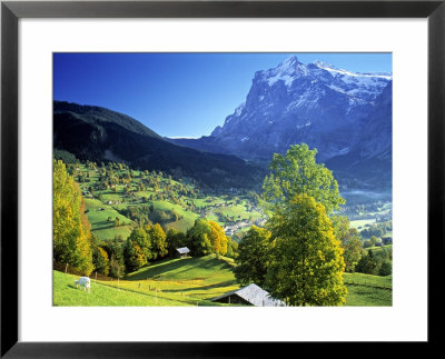 Grindelwald, Berner Oberland, Switzerland by Peter Adams Pricing Limited Edition Print image