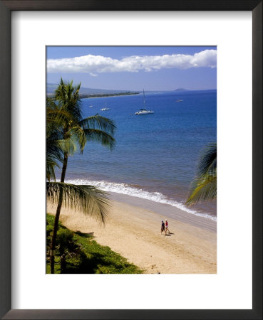 Aerial Of Tropical Beach, Maui, Hi by Danny Daniels Pricing Limited Edition Print image