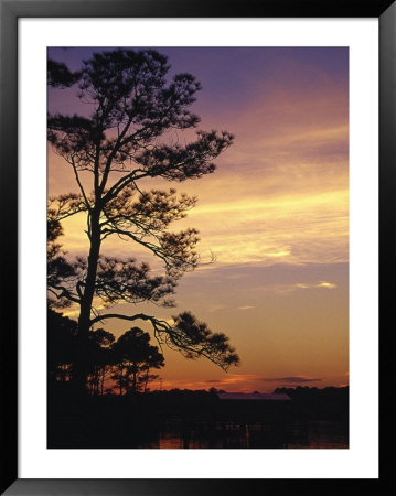 Cotton Bayou At Sunset, Orange Beach, Al by Jeff Greenberg Pricing Limited Edition Print image