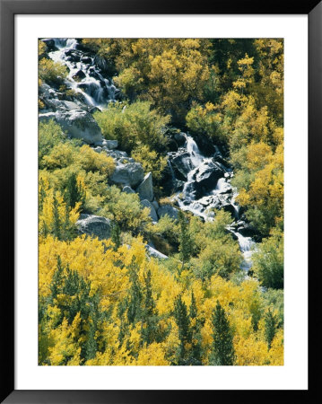Waterfall And Aspen Fall Colors In The High Sierra In October by Rich Reid Pricing Limited Edition Print image